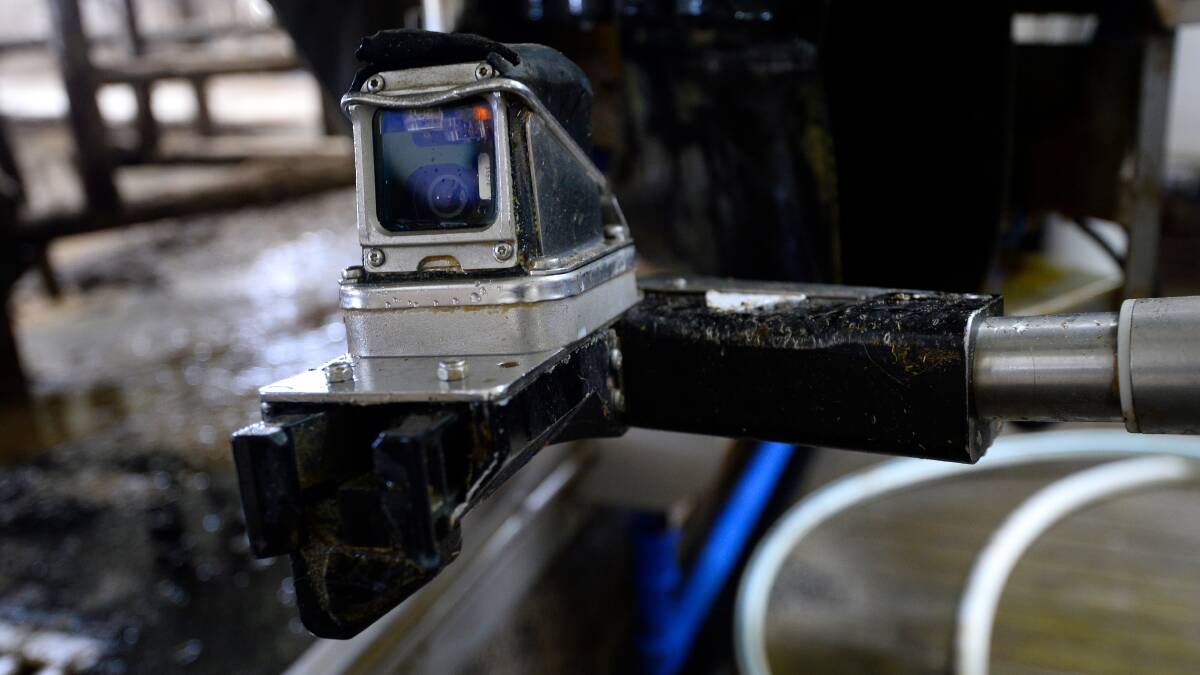 The camera helps guide the robot arm, and gets scrubbed clean automatically after each cow.
