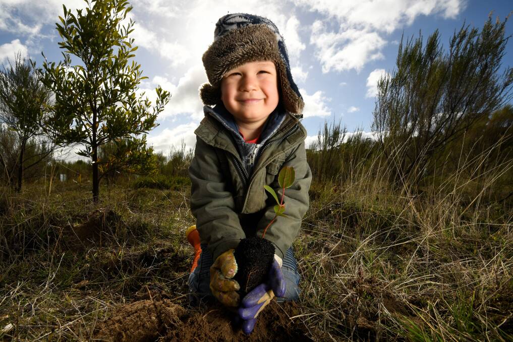 
Diggin' it: Three-year-old Mason Hotchin at the Friends of Canadian Corridor monster tree planting in Woowookarung Regional Park on Sunday. Picture: Adam Trafford