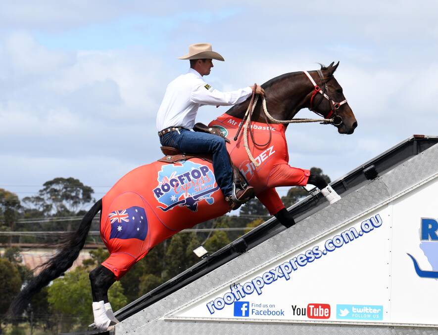 Amazing: The Rooftop Express arena spectacular will showcase the athleticism of working animals, with horses scaling trailers and performing tricks. 