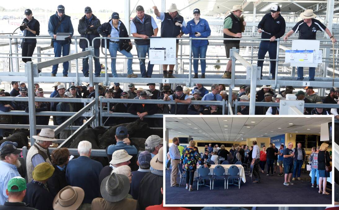Sheep speak: The saleyards in Miners Rest continue to be contentious, with nearby residents (inset) talking to representatives from the saleyards about stench issues last night. 
