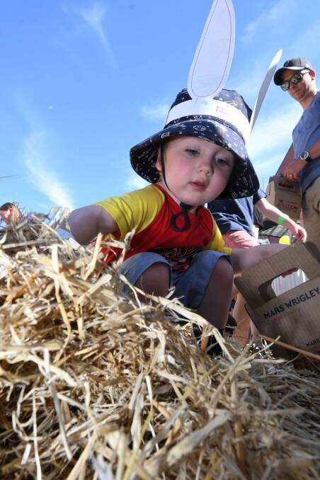 Egg-cellent: Three-year-old Oliver Pilkington spots a scrumptious hidden egg at the Alfred Deakin Place egg hunt on Saturday. Picture: Lachlan Bence