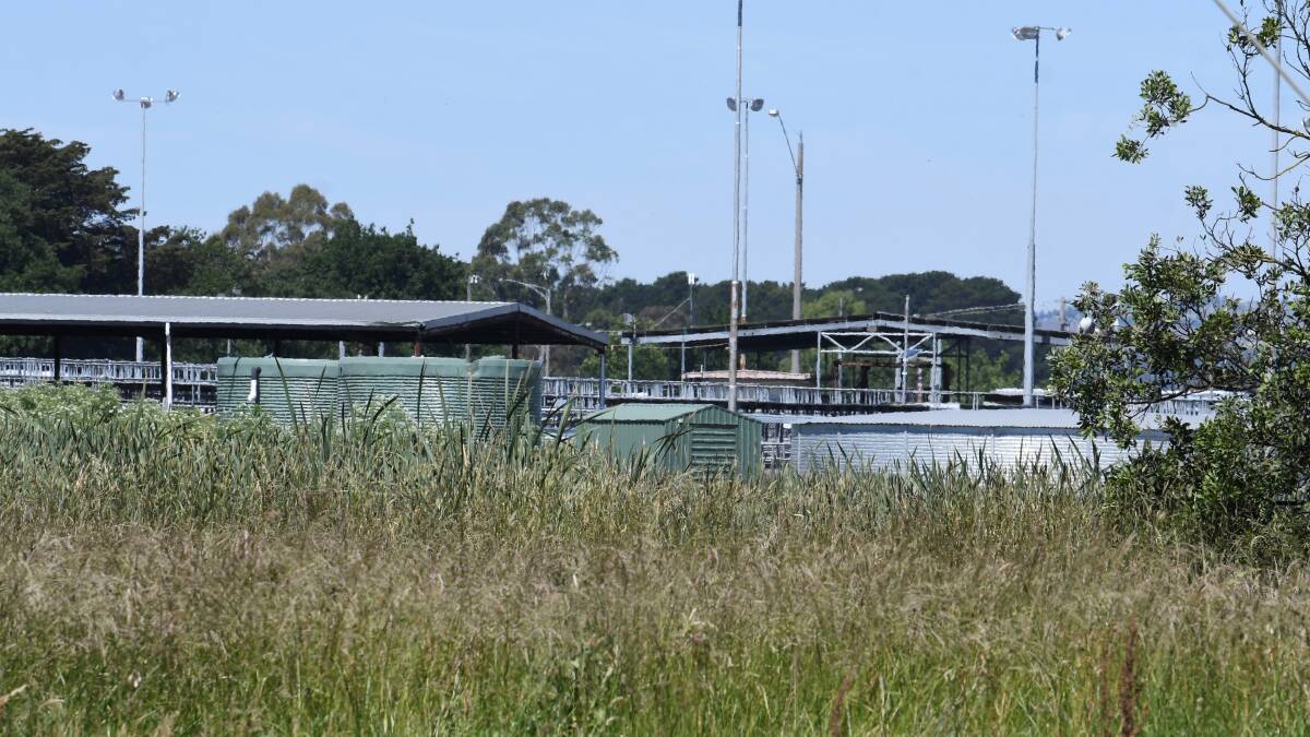 ‘A bit hypocritical’: concern over council’s long grass at old saleyards