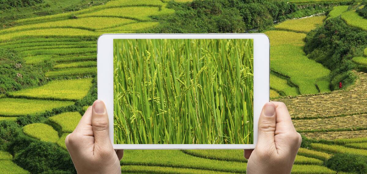 HIGH TECH: The NFF is calling on both sides of politics to help farmers become world leaders, particularly in the digital field.
