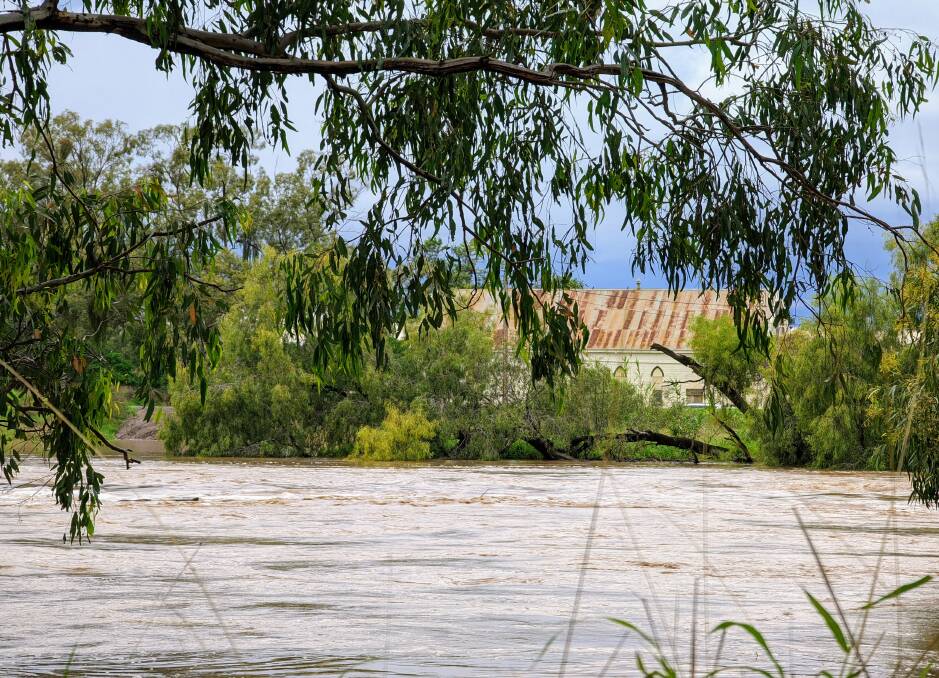 The Castlereagh River floods near Coonamble on Monday, but a new levy bank has held firm. Photo by Carly Chynoweth.
