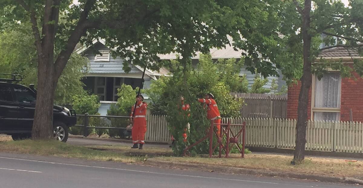 The SES cutting down a dangerous low hanging branch in Newington.