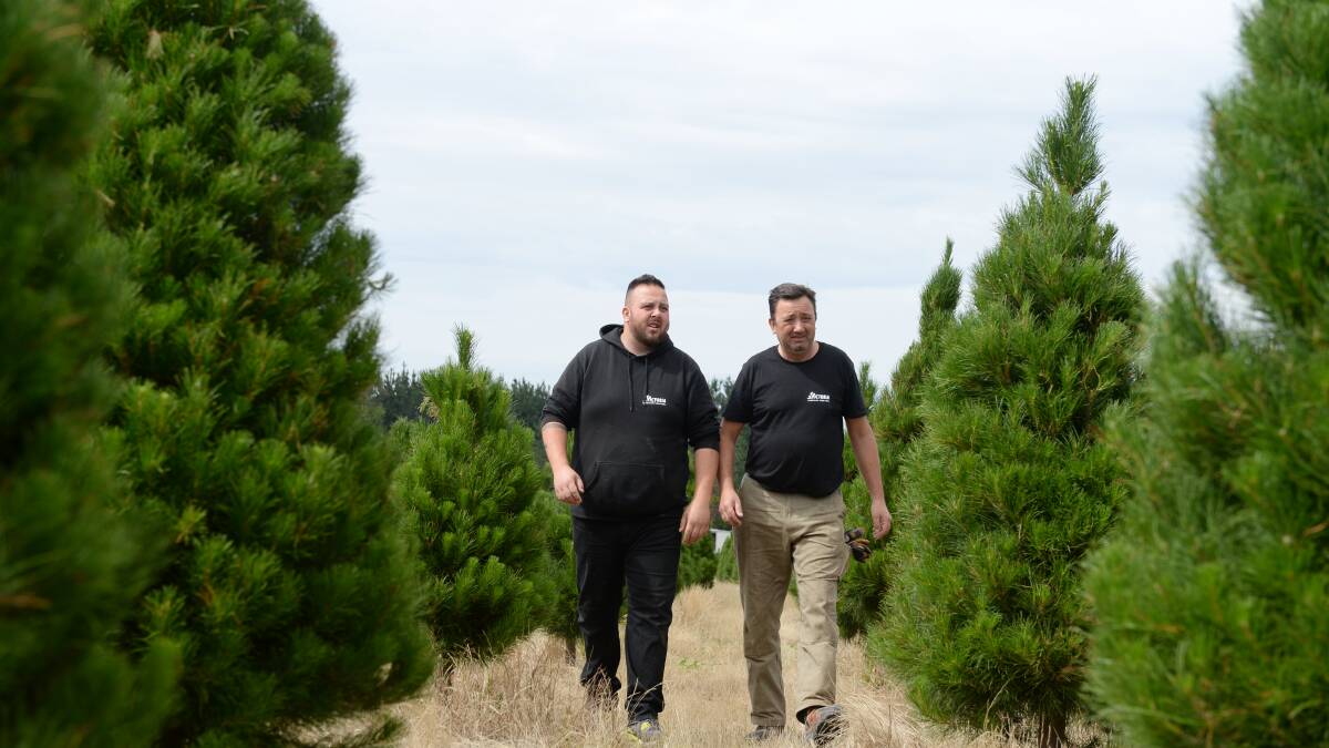 Alex and Peter Costa remember their respective brother/uncle as they walk through their family’s Christmas tree farm. Picture: Kate Healy
