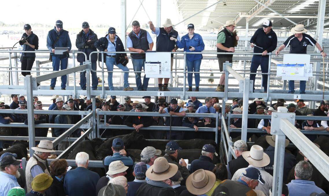 ODOUR: The EPA is set to increase their inspections on the Miners Rest Saleyards following the implementation of new cleaning practices. Picture: Lachlan Bence.