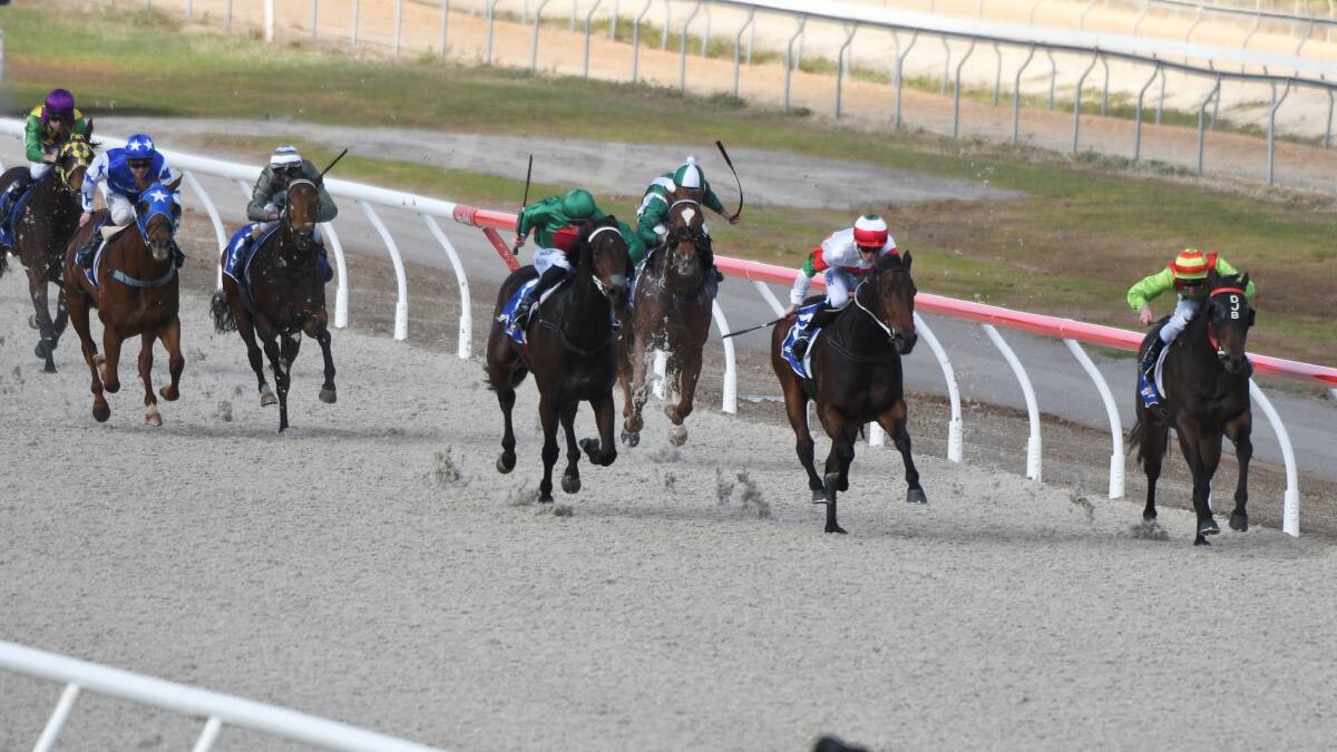 RACING: Meets are still being moved from Ballarat despite it's new synthetic track. Picture: Lachlan Bence.