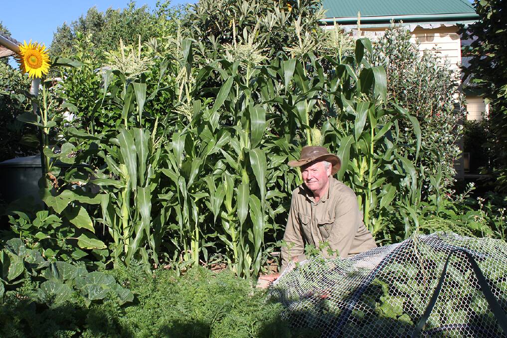 GARDEN TIPS: Gardening expert John Ditchburn will be answering questions and handing out advise at Sunday's Ballarat Community Garden Autumn Festival.