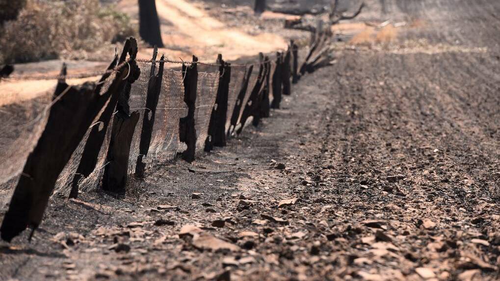 REMAINS: The burnt remains of fencing at Rod McErvale's property. 