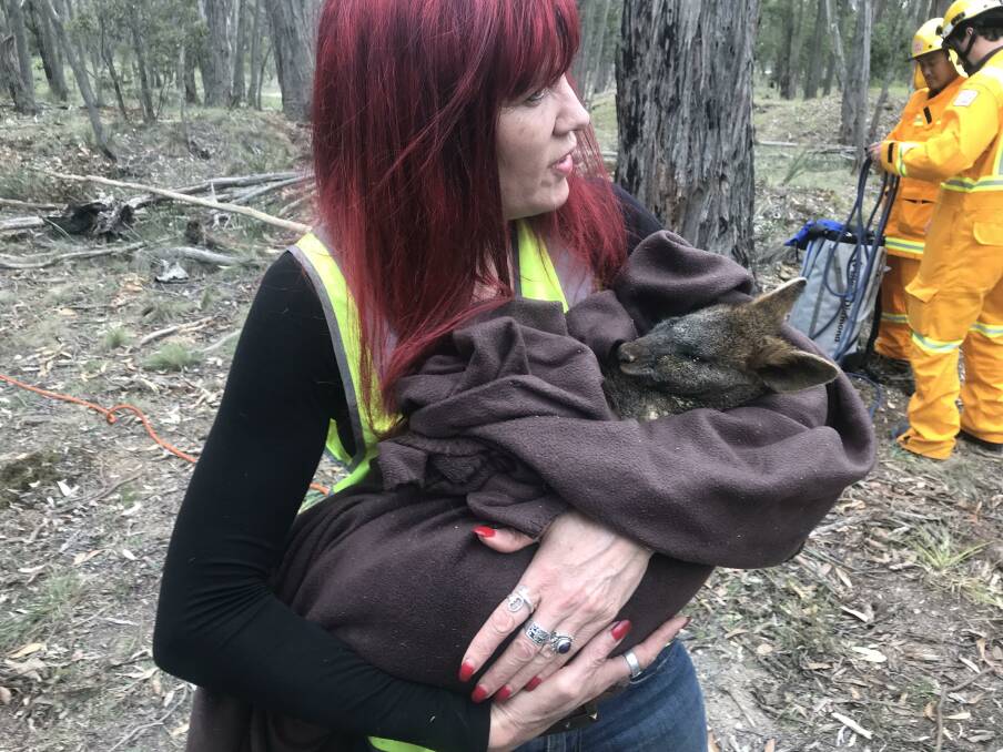 RESCUED: Helen Round holds the freed wallaby. Picture: Ben Hopkins