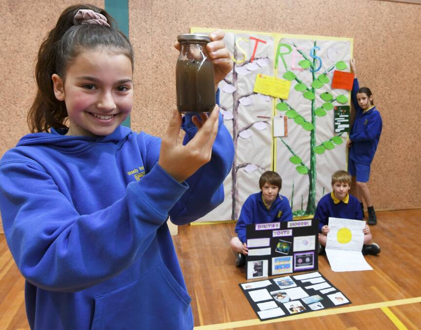 Woady Yaloak Primary Schools come together for health fair