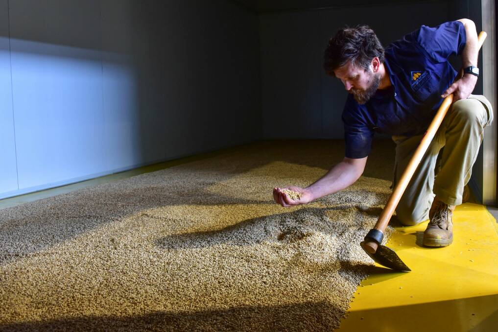 TURN THE MALT: Drew Graham checks in on his floor malting process at the House of Malt warehouse. Picture: Brendan McCarthy