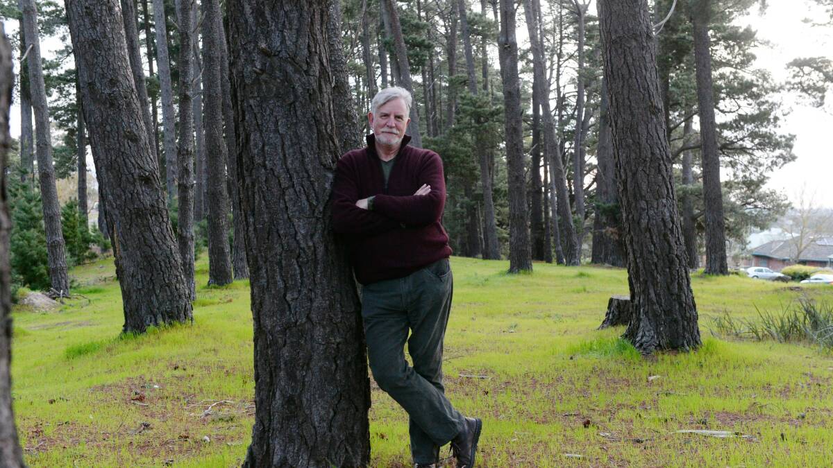 NOT HAPPY: Black Hill resident Julian Whitta has voiced his frustration about the lack of communication from council regarding the removal of historic pine trees. Picture: Kate Healy.