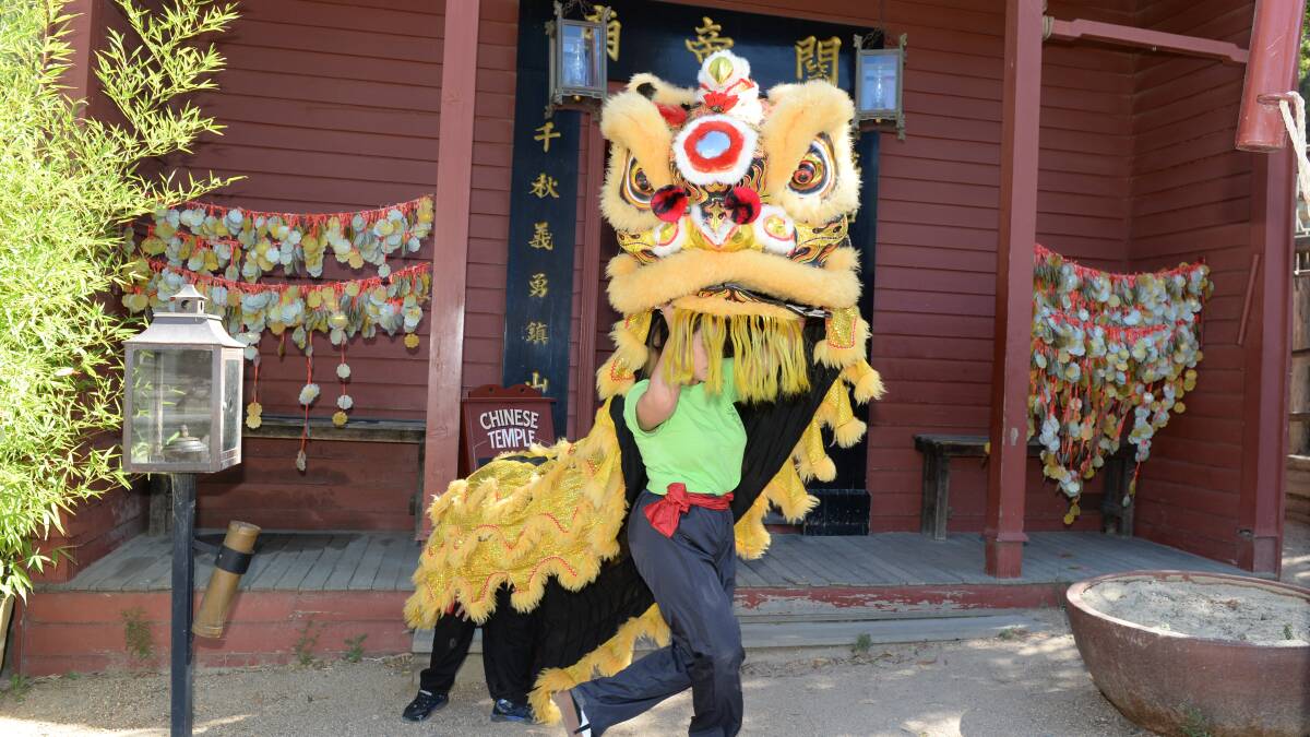 DRAGON: Get sucked into the ancient Chinese tradition of lion dancing.Picture: Kate Healy.
