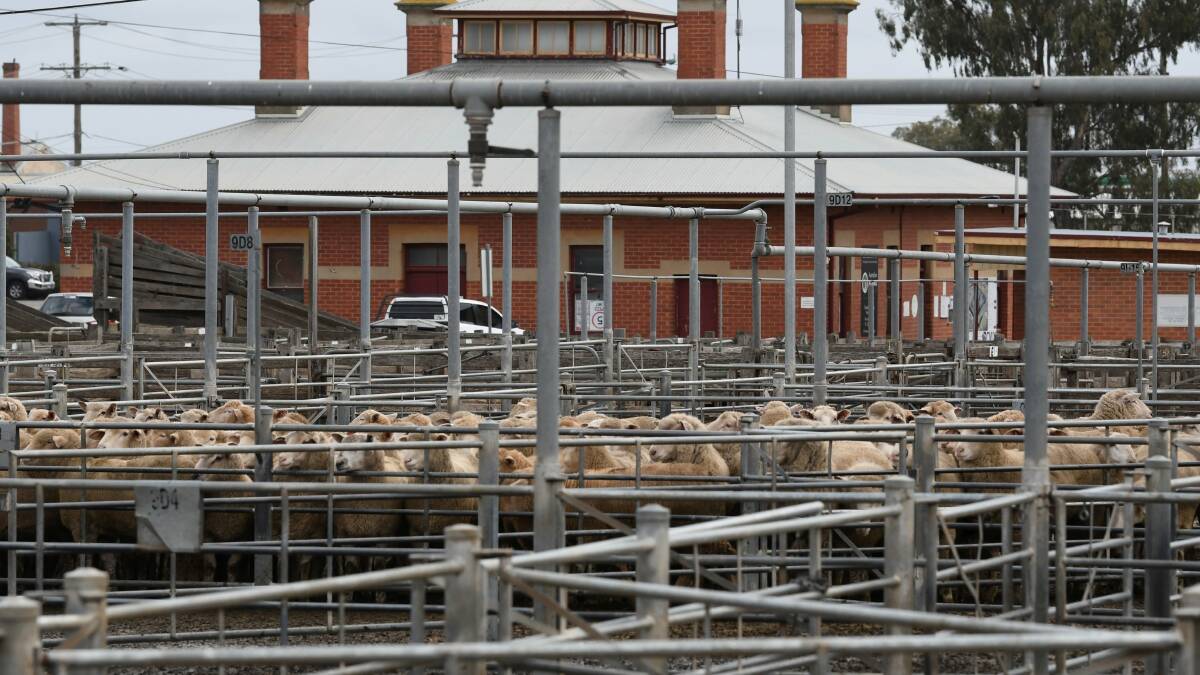 Work needed: The cost of remediation works at the soon-to-be-closed Delacombe Saleyards could run into the millions. Picture: Lachlan Bence 