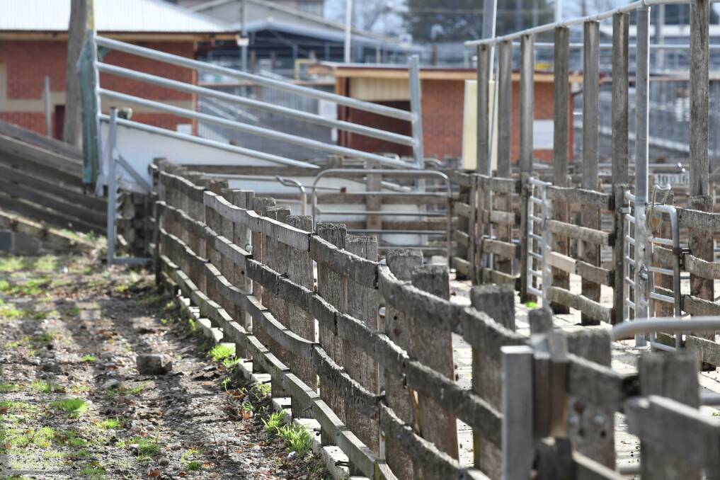 Uncertainty: The Miners Rest Saleyards are just months off completion, but the future of the Delacombe facility remains unknown. Picture: Lachlan Bence 