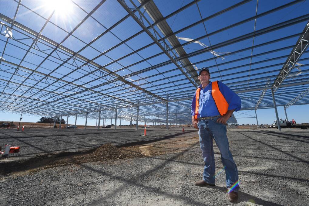 Grand construction: CVLX regional director James Thompson under the frame of the new Miners Rest saleyards off the Western and Sunraysia highways, which will open by July this year. Pictures: Jeremy Bannister