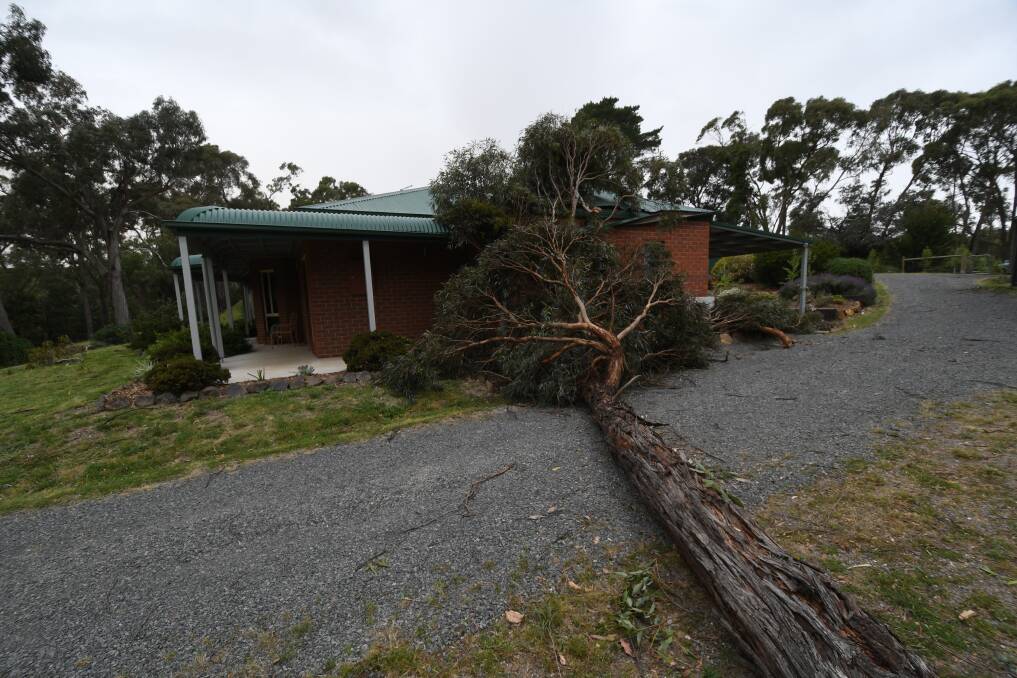 Micro-burst: A mini-cyclone was thought to have torn through Creswick on Thursday afternoon, causing damage like this this across the town. Picture: Lachlan Bence.