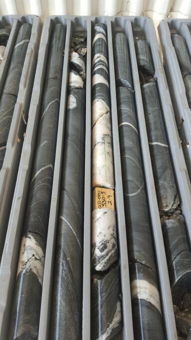 Core samples: Drilling is done at depths of between 300 top 500 metres. Photo: Cape Clear Minerals.
