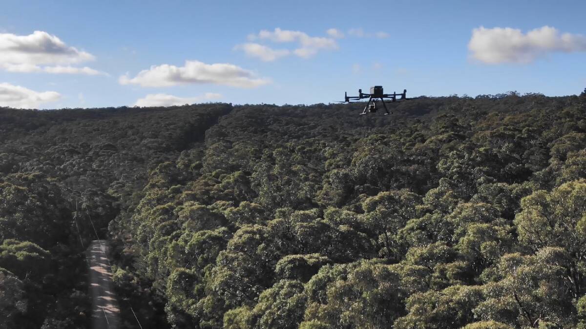 Bird's eye view: The new Powercor drone traverses a powerline near Ballarat. Picture: Powercor.