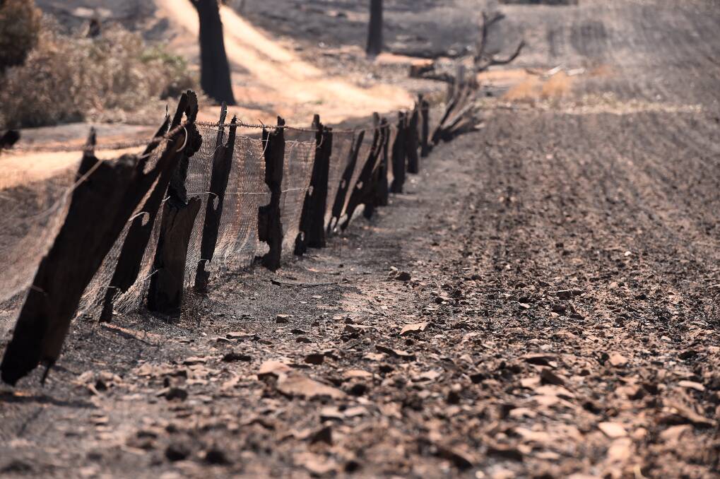 Scorched: A burnt fence and scorched land on Rebecca and Rod McErvale's property at Lexton. Picture: Adam Trafford.