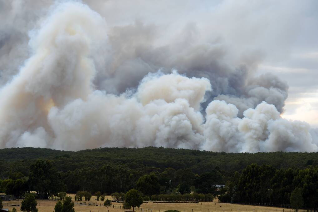 Devastating: The Scotsburn fire destroyed as many homes as the Wye River fires. Photo : Kate Healy.