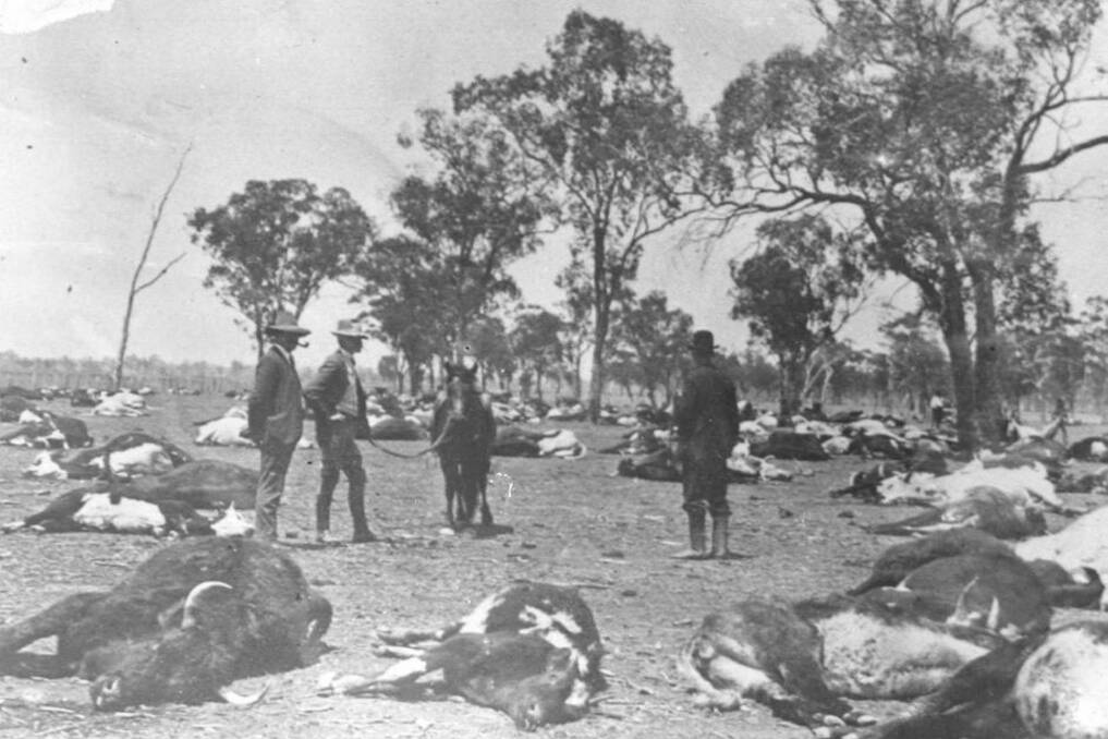 Formative experience: Lawson's peregrinations to the drought-torn region of Bourke in 1892 informed his writing from then on. Picture: National Library of Australia.