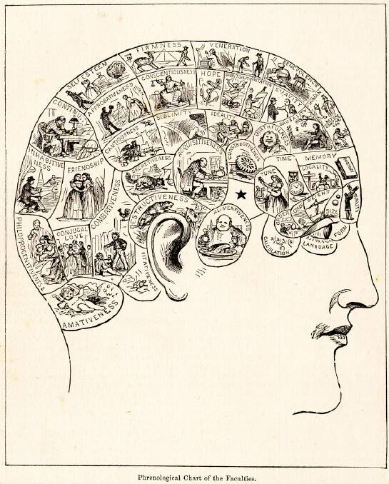 Off the chart: the cult of phrenology did set the parameters for later study of the brain, but it was a fraudulent science.