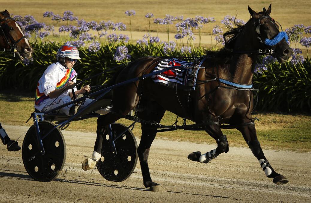 Winner of race 2 "MAGESTIC PRINCE" driven by Amanda Turnbull at the 2017 Ballarat Pacing Cup. Picture: Dylan Burns.