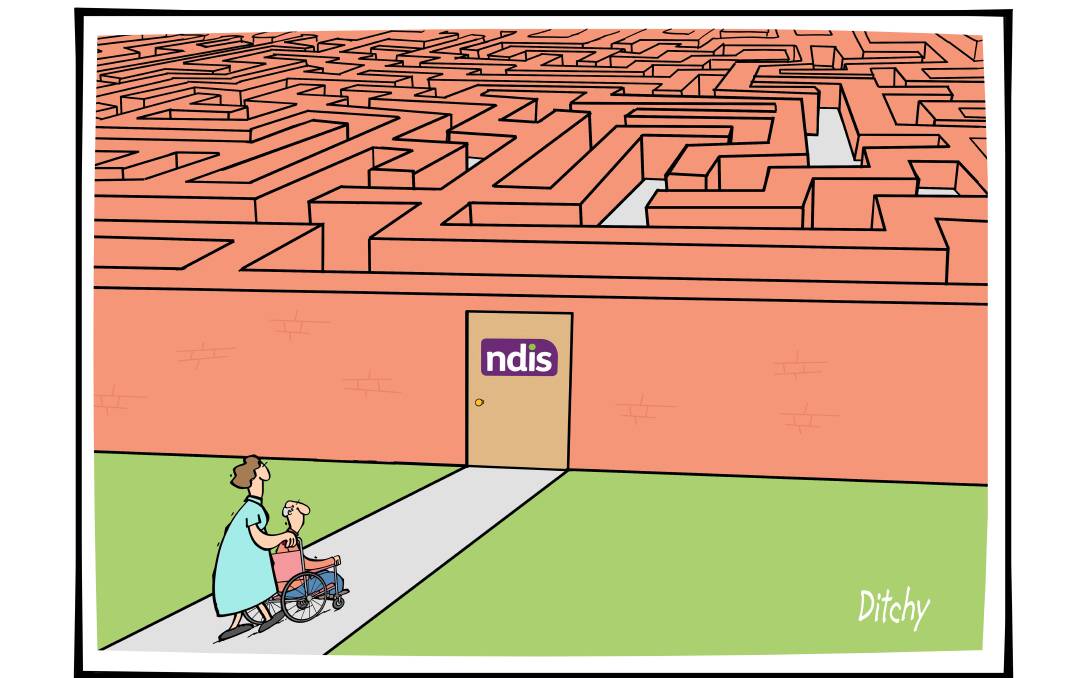 Ditchy's View: THE NDIS maze.