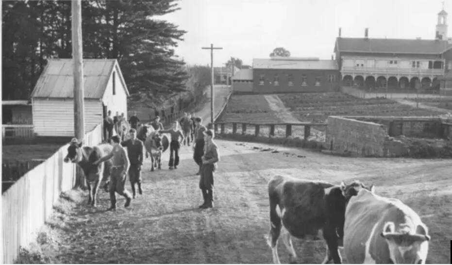 Past farming: the orphanage farm in the 1920s.