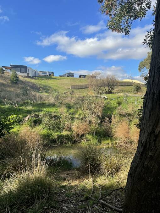 Encroaching: The insatiable desire for development land and weak environmental controls at a local and state level mean rivers like the Yarrowee - which had platypus in its lower reaches this week - are increasingly likely to be destroyed.