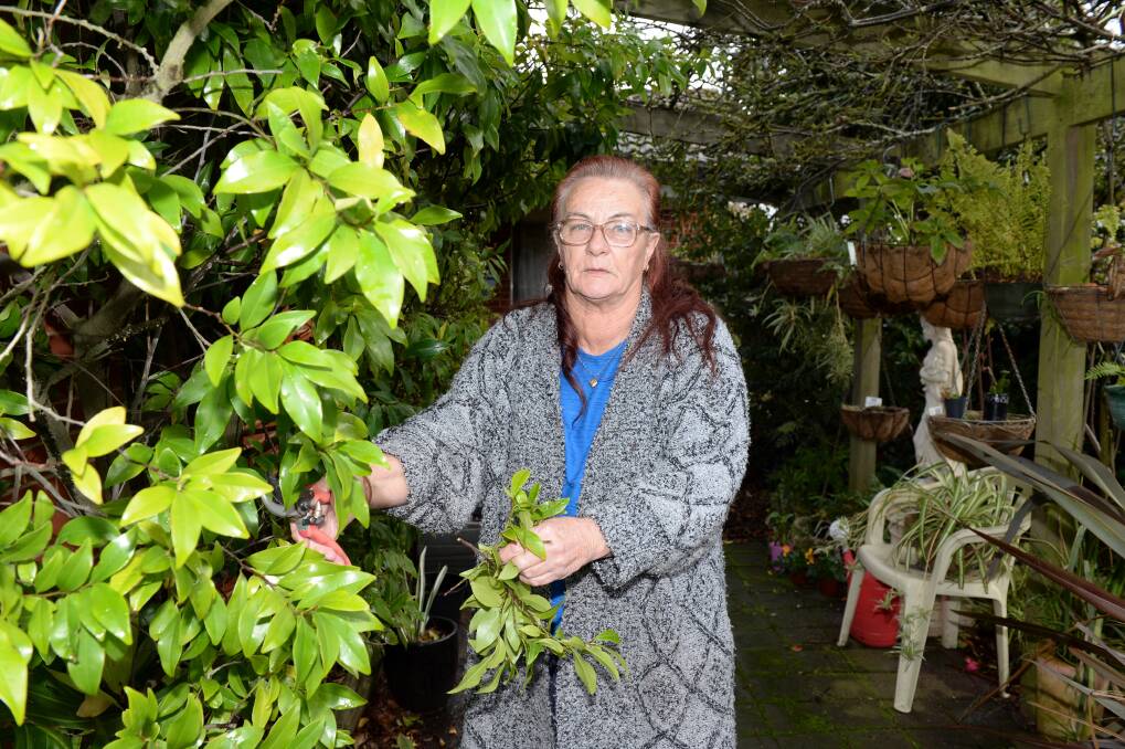 A lifetime's work: Marlene in the pergola area of her home, which will be demolished. She has spent 40 years building a garden and raising her sons here, and says the government can never give this back to her. Picture: Kate Healy.