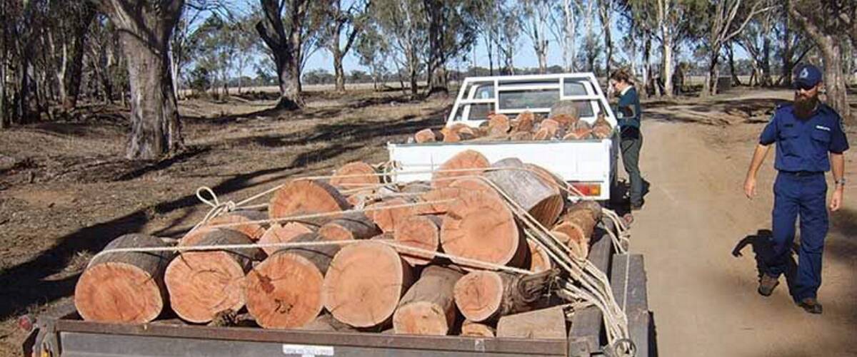 Surveillance: Forest Fire Management Victoria and Parks Victoria have warned of increased levels of surveillance to combat firewood theft.