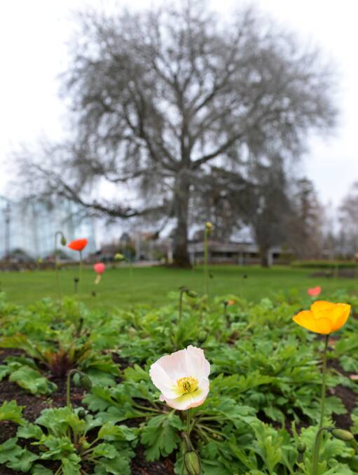 Get into the Gardens: There are plenty of activities this Sunday. Photo: Kate Healy