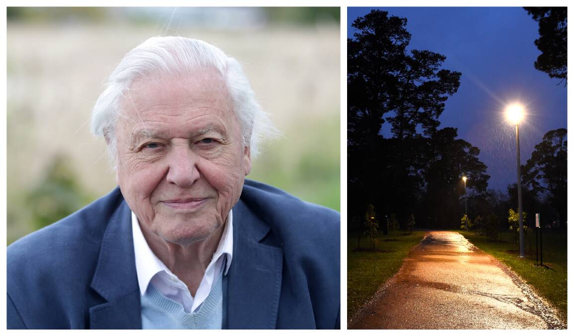 I understand your concerns: Legendary biologist and broadcaster David Attenborough has suggested assistance for the lake lighting objectors.