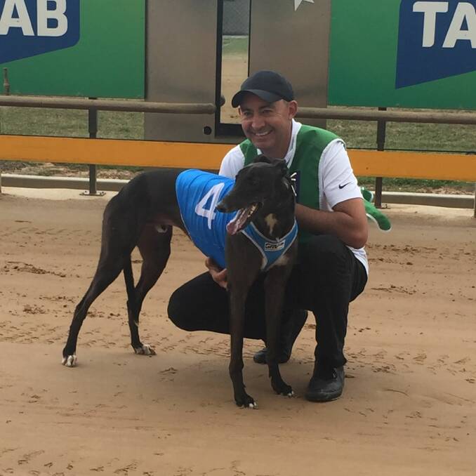 SCRATCHED: Spring Bridge, pictured after winning the first Ballarat Cup heat on Saturday night, has been scratched from this weekend's race.