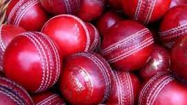 Fixture options out for 2018-19 cricket season