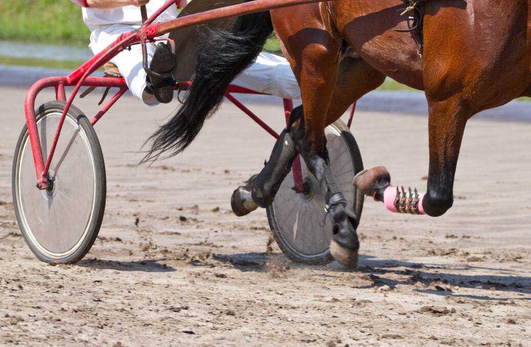 Victorian harness racing comes to a halt after COVID-19 positive