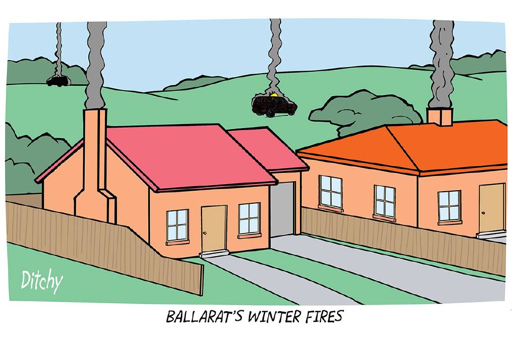 Ditchy's view: How our artist covered this week's Ballarat news