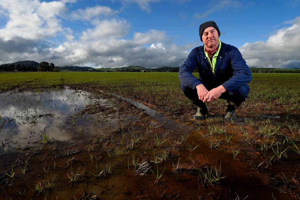 Lake Burrumbeet farmer Alan McCartney. Picture: Adam Trafford