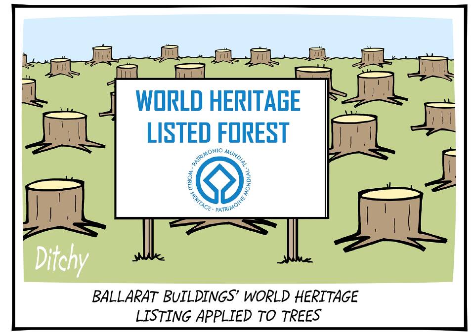 Ditchy returns with more classic cartoons on this week's Ballarat news