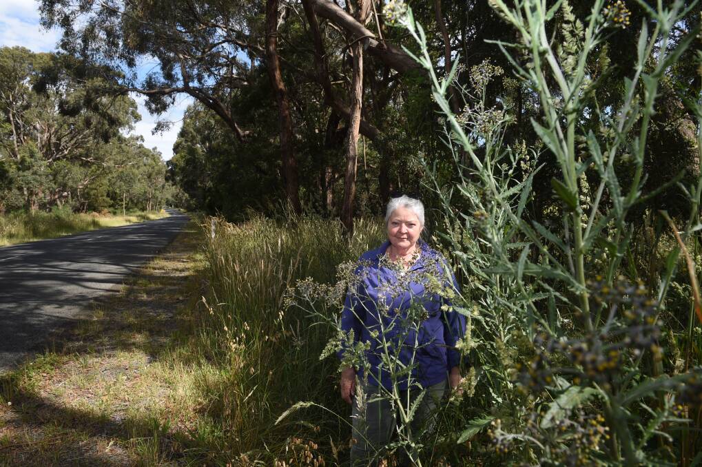 FIRED UP: Margot Rees is concerned about long grass in the region.