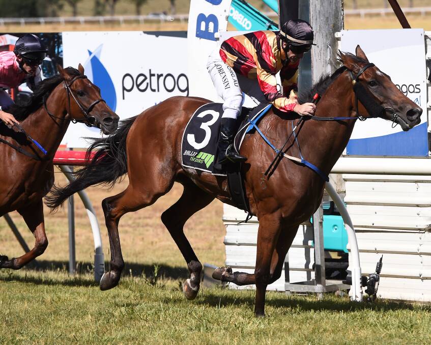 TRIUMPH: Jarrod Lorensini gets home in the Burrumbeet Cup aboard Not To Know for trainer Mitch Freedman. Picture: Adam Trafford.