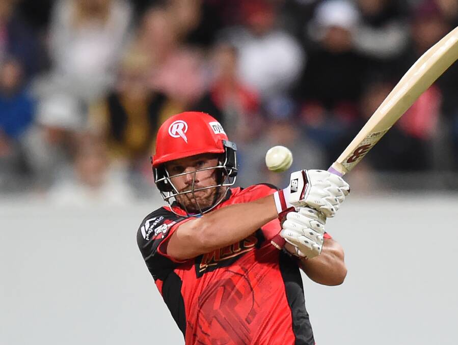 STAR: Melbourne Renegades batsman Aaron Finch and his side could be destined for a home BBL game in Ballarat in the coming years. The club's WBBL side will play at the Eastern Oval in December.