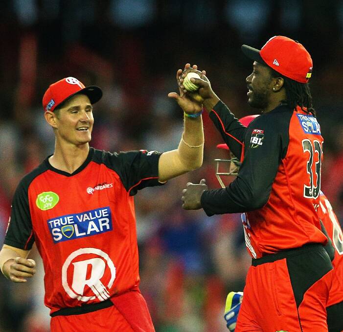 BIG COUP: Tom Beaton, pictured celebrating a wicket with West Indies star and Melbourne Renegades teammate Chris Gayle last year, will play for North Ballarat on Friday night. Picture: Getty Images.