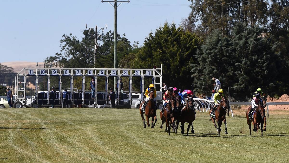 Racing Victoria issues statement on crowds, biosecurity changes