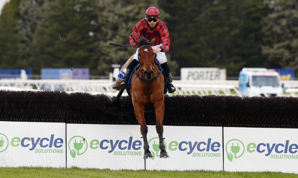 STAR: Tallyho Twinkletoe pictured on his way to an emphatic win in the Grand National Steeplechase. Picture: Kate Healy.
