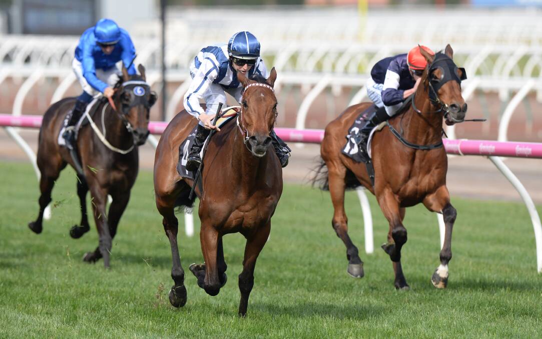 ON THE RISE: Damien Lane partners Darren Weir-trained Amelie's Star to victory at Flemington on Saturday afternoon. The horse has now gained a Melbourne Cup start.